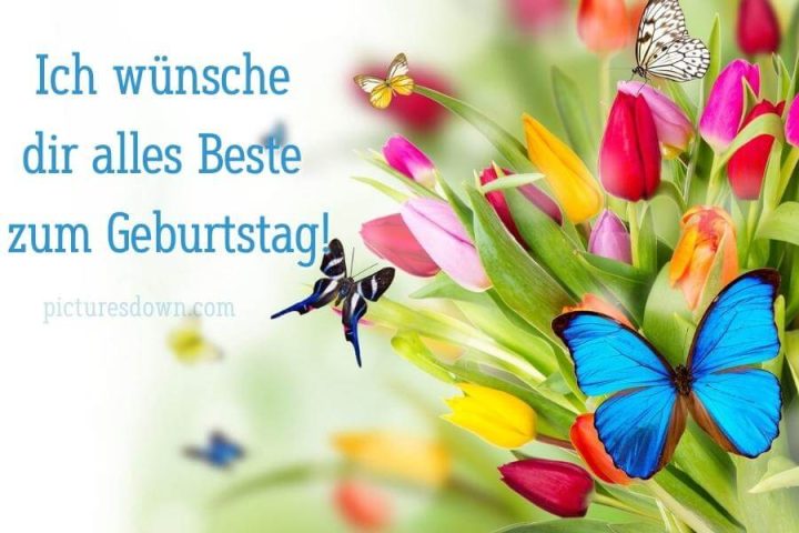 Geburtstag bilder kostenlos Tulpen herunterladen