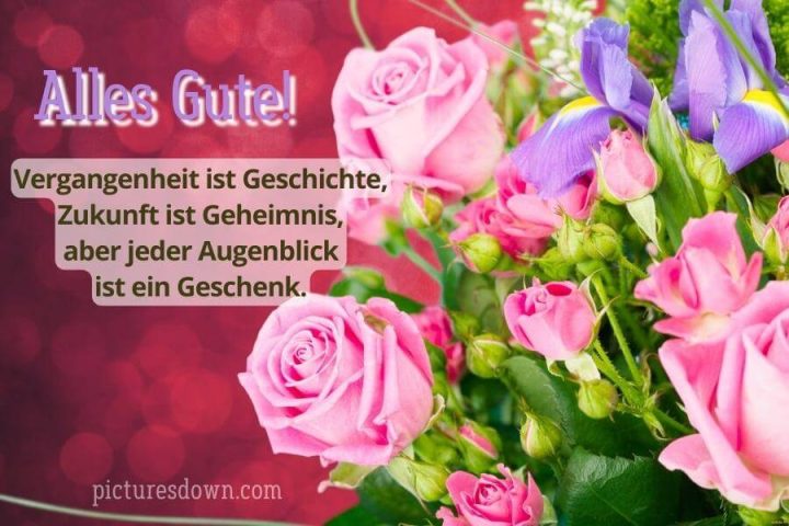 Geburtstag bilder Wünsche und Blumen kostenlos herunterladen