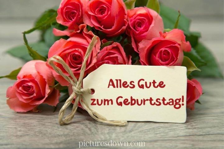 Geburtstag bilder kostenlos Rosen herunterladen