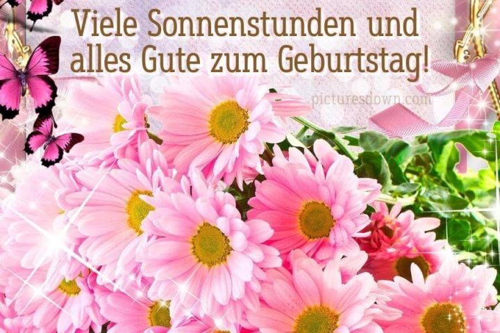 Geburtstag bilder kostenlos rosa Gänseblümchen herunterladen