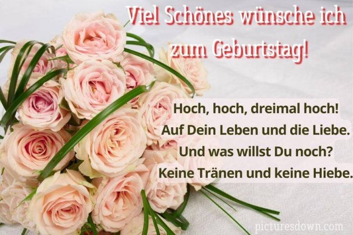 Geburtstag bilder kostenlos Creme Gänseblümchen herunterladen