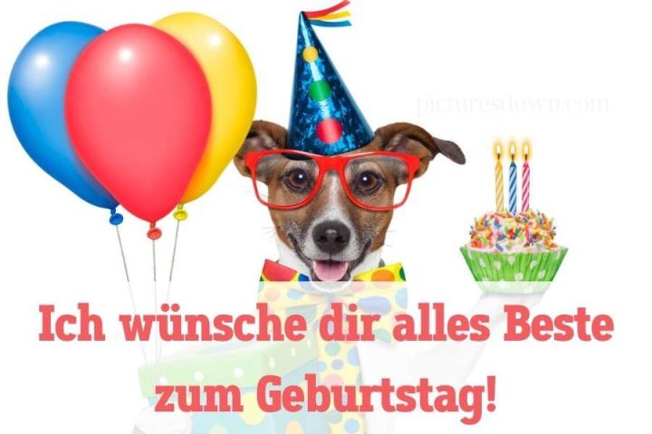 Geburtstag bilder kostenlos Hund mit Brille herunterladen