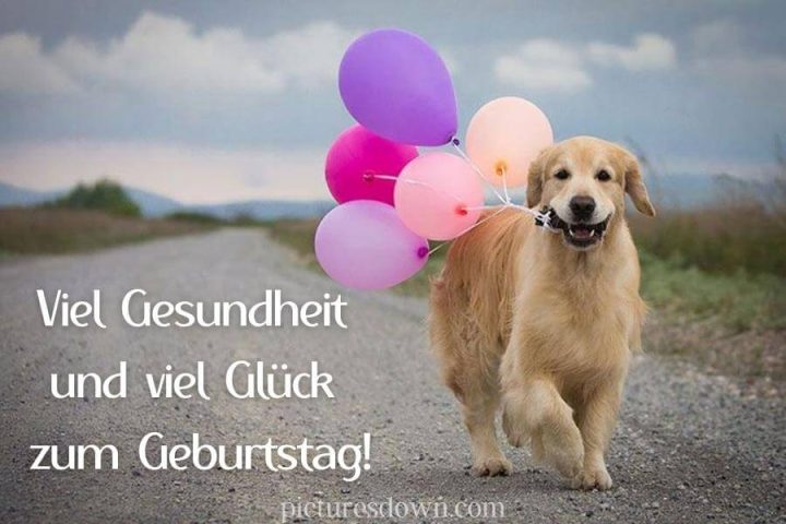 Geburtstag bilder kostenlos Hund und Luftballons herunterladen