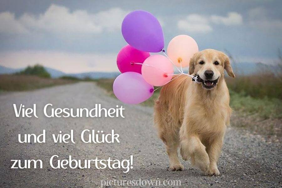 Geburtstag bilder kostenlos Hund und Luftballons herunterladen