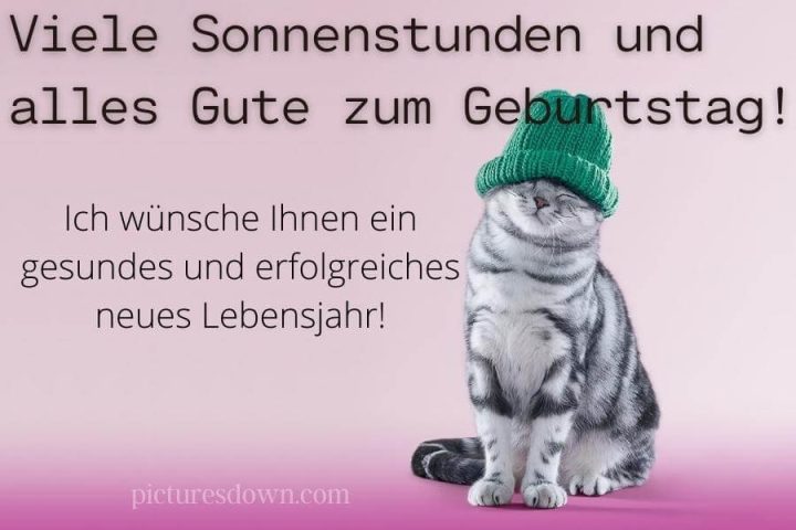 Geburtstag bilder kostenlos Katze in einem Hut herunterladen