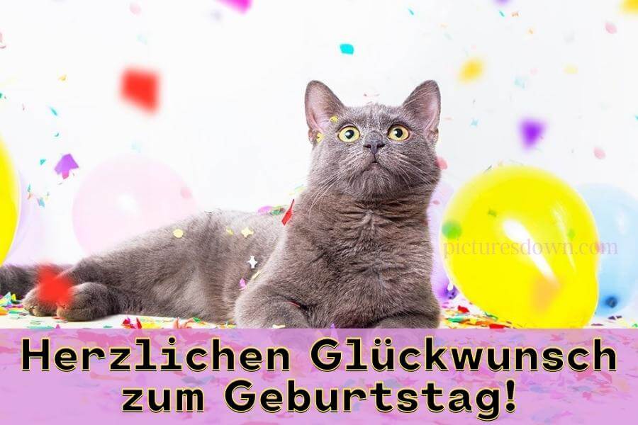 Geburtstag bilder kostenlos Katze und Ballon herunterladen
