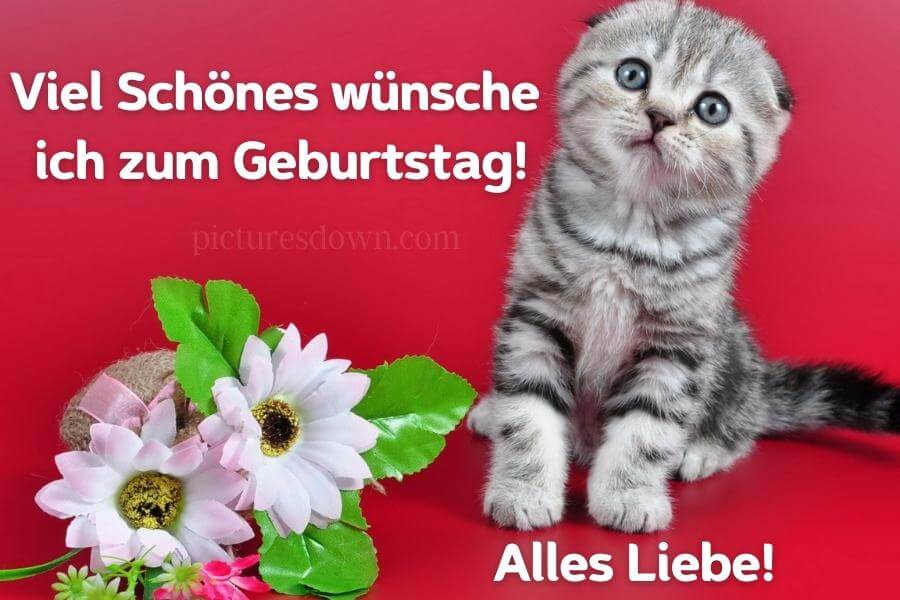 Geburtstag bilder kostenlos Katze und zwei Blumen herunterladen