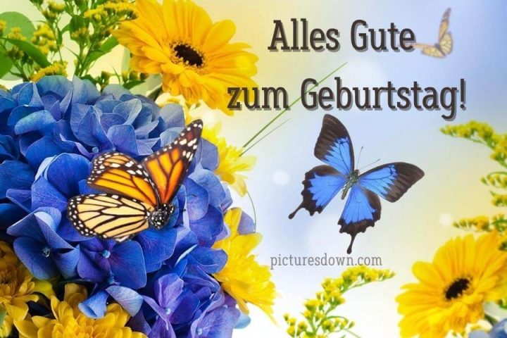 Geburtstag bilder kostenlos Schmetterlinge herunterladen
