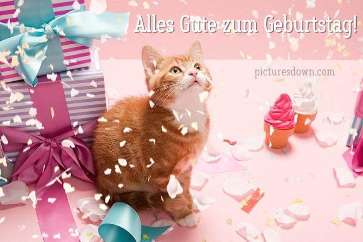 Geburtstag bilder kostenlos Katze herunterladen