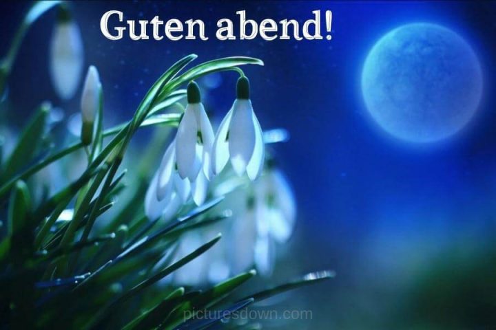 Guten abend bild Maiglöckchen kostenlos herunterladen