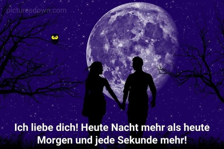 Liebe gute nacht bild kostenlos Eule downloaden