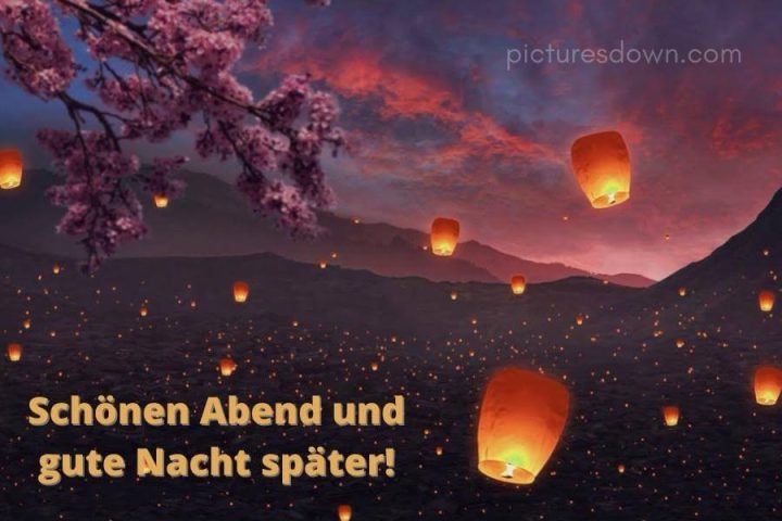 Guten abend bild Chinesische Laternen und Sakura kostenlos herunterladen