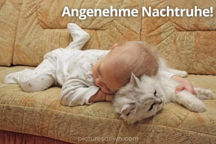 Lustig schönen abend und gute nacht bild Katze und Kind kostenlos downloaden