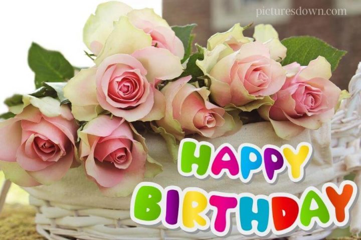 Bilder happy birthday blumen rosa Rosen kostenlos herunterladen