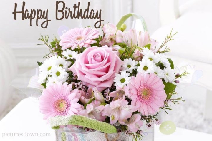 Bilder happy birthday Gänseblümchen und Rosen kostenlos herunterladen