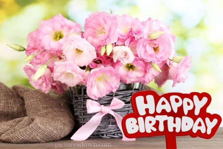 Bilder happy birthday blumen und ein Bogen kostenlos herunterladen