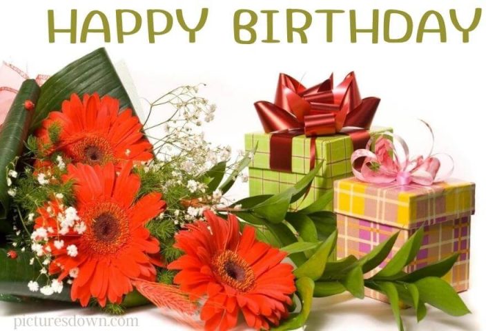 Bilder happy birthday blumen rote Gänseblümchen kostenlos herunterladen