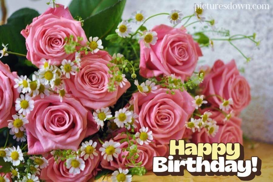 Bilder happy birthday blumen Rosen und Gänseblümchen kostenlos herunterladen