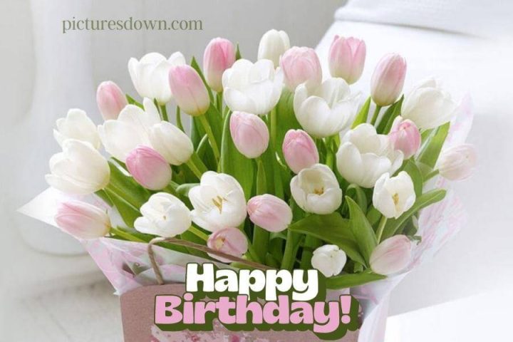 Bilder happy birthday blumen Tulpen kostenlos herunterladen