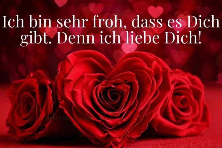 Ich liebe dich bild drei Rosen kostenlos herunterladen