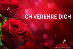 Ich liebe dich bild Rote Rose kostenlos herunterladen