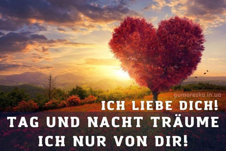 Bild ich liebe dich Berge kostenlos herunterladen