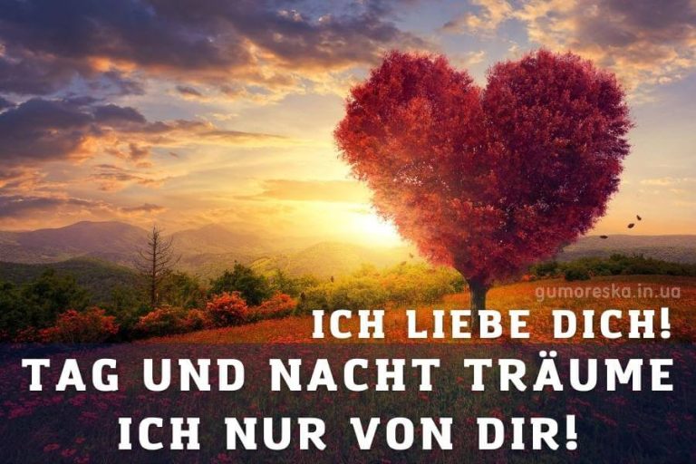 Ich Liebe Dich Bilder Und Sprüche Ich liebe dich bilder wishes kostenlos herunterladen