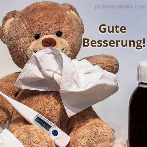 Gute besserung bild Bär und Thermometer kostenlos herunterladen