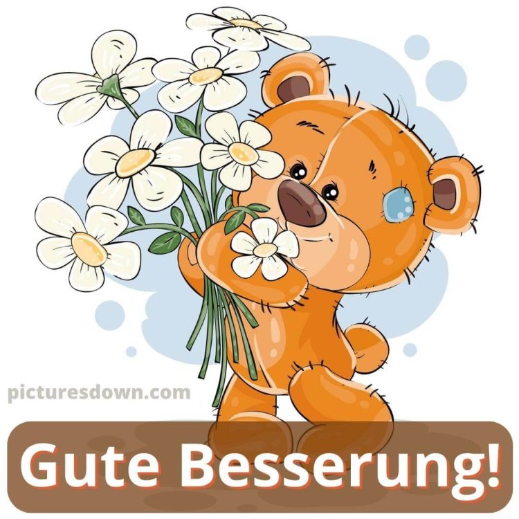 Gute besserung bild Teddybär mit Blumen kostenlos herunterladen