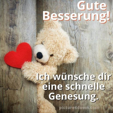 Liebe gute besserung bild Bär kostenlos herunterladen
