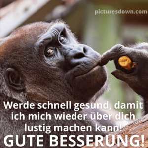 Gute Besserung Lustig Whatsapp