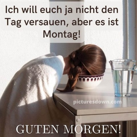 Guten morgen montag lustig bild Kopf in eine Schüssel kostenlos herunterladen