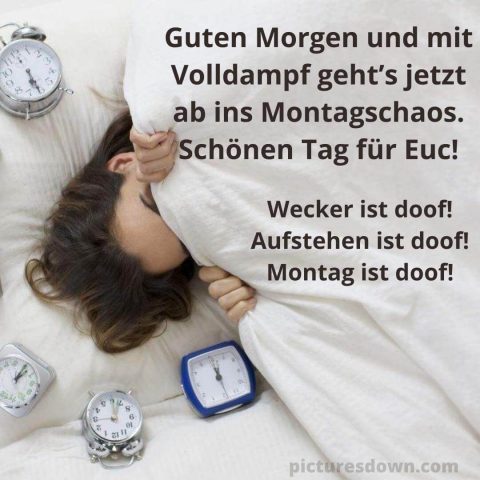 Guten morgen montag lustig bild Wecker kostenlos herunterladen