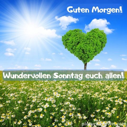Herz guten morgen sonntag bild Baum kostenlos herunterladen