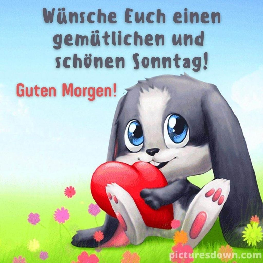 Herz Guten Morgen Sonntag Bild Hase Kostenlos Picturesdown