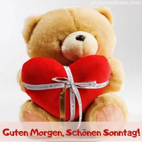 Herz guten morgen sonntag bild Bär kostenlos herunterladen