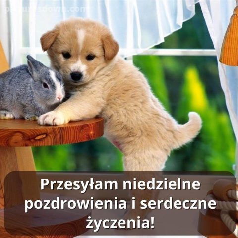 Kartka na niedzielę pies i królik do pobrania za darmo