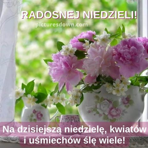 Kartka na niedzielę kwiaty na oknie do pobrania za darmo