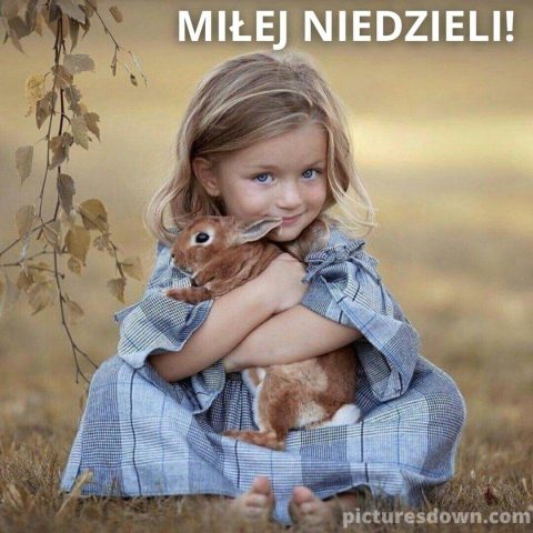 Kartka na niedzielę dziewczyna i królik do pobrania za darmo