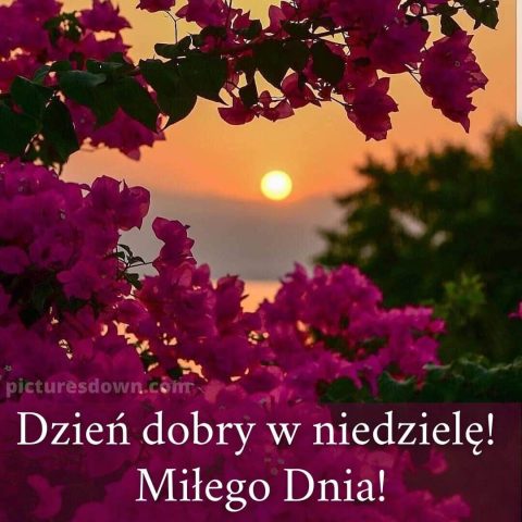 Kartka na niedzielę zachód słońca do pobrania za darmo