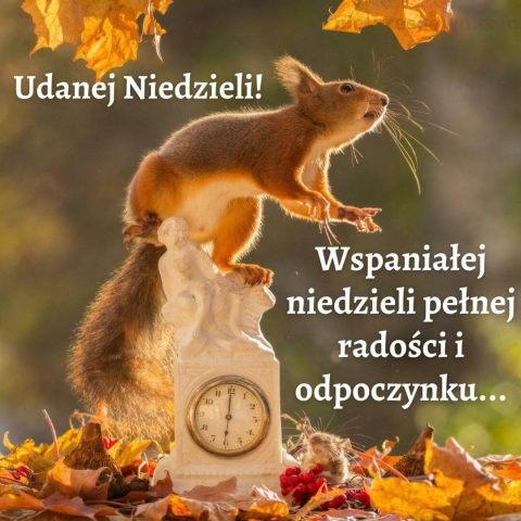 Kartka na niedzielę wiewiórka na zegarze do pobrania za darmo