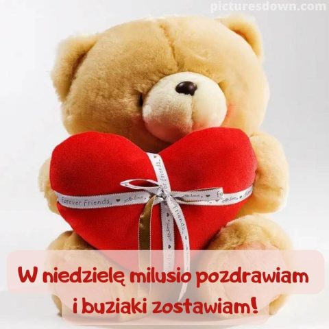 Kartka na niedzielę kochanie moje duży niedźwiadek do pobrania za darmo