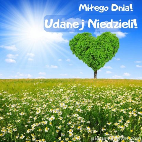 Kartka na niedzielę kochanie moje drzewo do pobrania za darmo