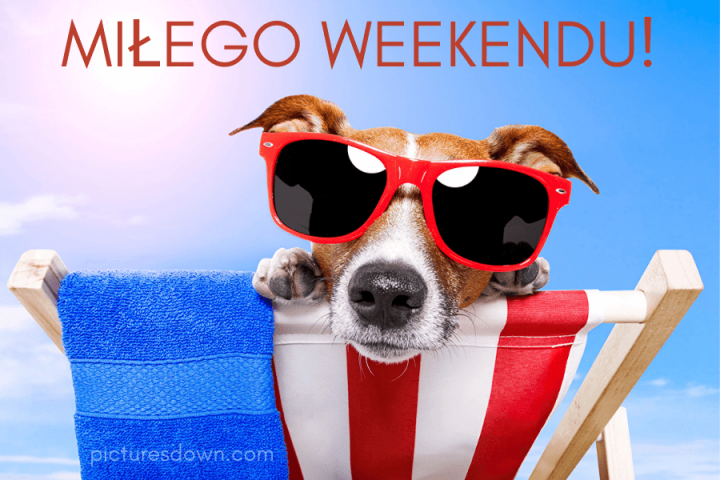 Miłego weekendu obrazek pies w okularach do pobrania za darmo