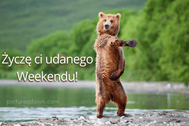 Udanego weekendu kartka niedźwiedź do pobrania za darmo