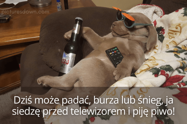 Spokojnego weekendu obrazek pies z piwem do pobrania za darmo