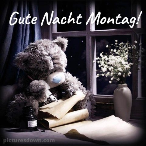 Gute nacht montag bild Bärenjunges kostenlos herunterladen