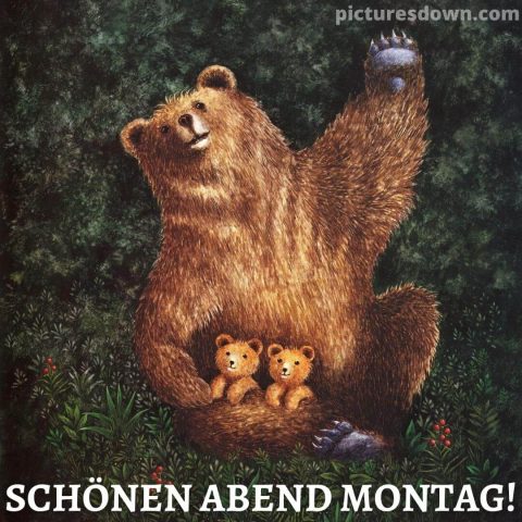 Gemütlich montag abend bild Bär kostenlos herunterladen