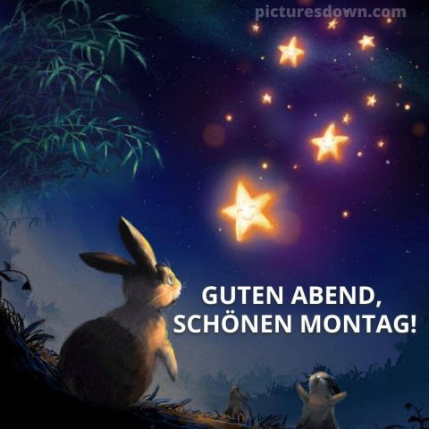 Schönen montag abend grüße bild Hase kostenlos herunterladen