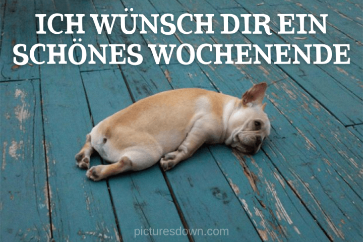 Schönes wochenende bild kostenlos der Hund schläft herunterladen